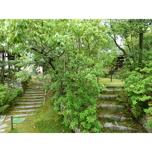 照片 日本(Japan) 京都(Kyoto) 仁和寺御殿(Ninna ji imperial Residence) 2010-06 27