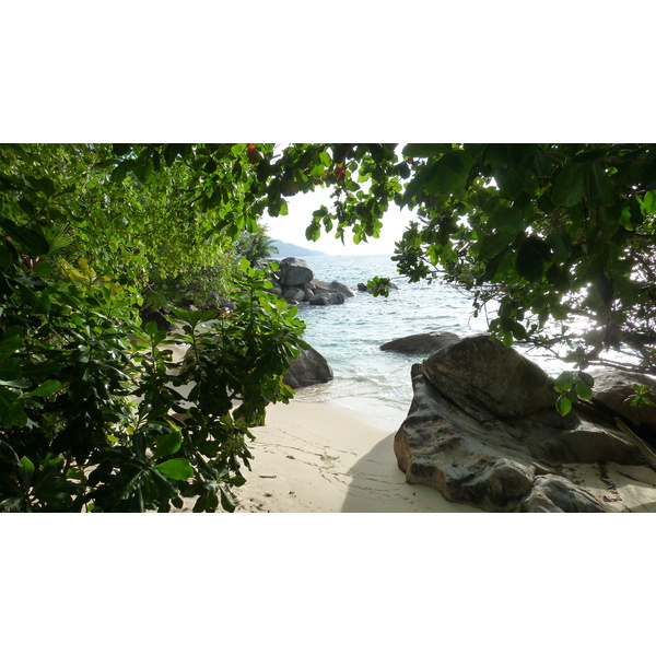 照片 塞舌尔(Seychelles) 马埃岛(Mahe) 2011-10 153