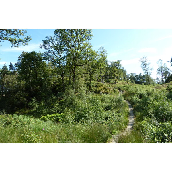 照片 英国(United Kingdom) 特罗萨克斯(The Trossachs) 2011-07 57