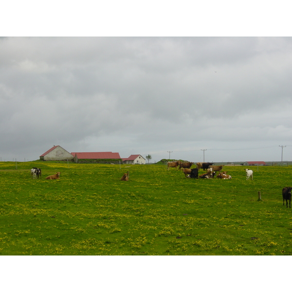 照片 冰岛(Iceland) 1号公路：维克至斯卡夫塔山(Road 1 Vik to Skaftafell) 2003-06 2