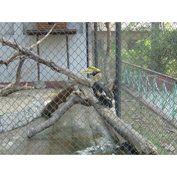 照片 缅甸(Myanmar) 仰光(Yangon) 2005-01 203