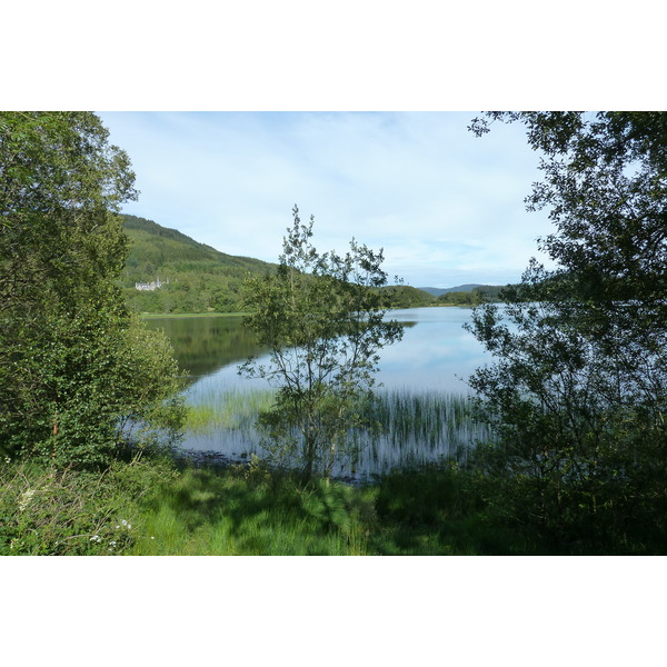 照片 英国(United Kingdom) 特罗萨克斯(The Trossachs) 2011-07 87
