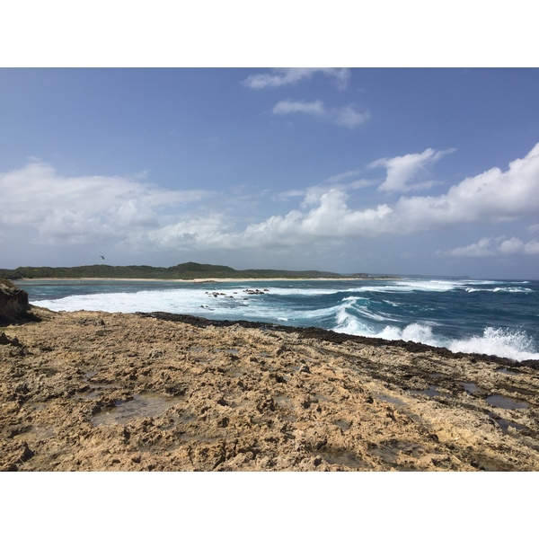照片 瓜德罗普(Guadeloupe) 城堡角(Castle Point) 2021-02 140