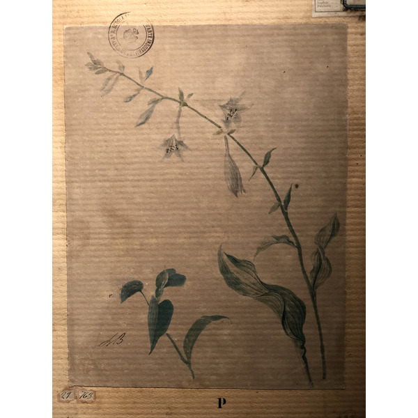 照片 意大利(Italy) 西西里岛(Sicily) 巴勒莫(Palermo) 诺曼王宫(Palazzo dei Normanni) 2020-02 16