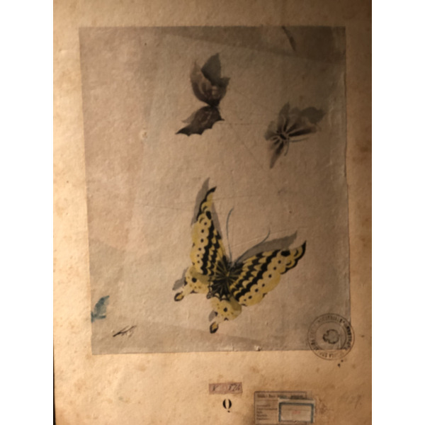 照片 意大利(Italy) 西西里岛(Sicily) 巴勒莫(Palermo) 诺曼王宫(Palazzo dei Normanni) 2020-02 14