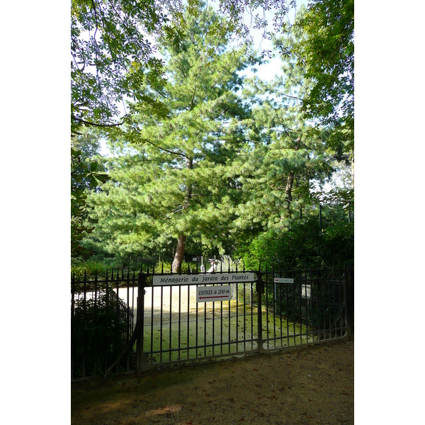 照片 法国(France) 巴黎(Paris) 巴黎植物园(Jardin des Plantes) 2007-08 106