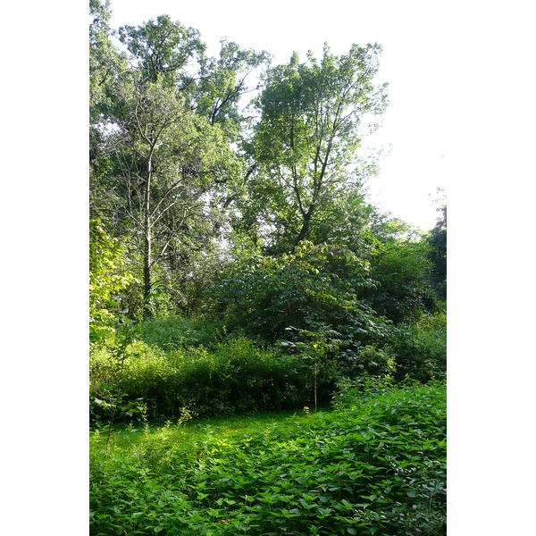 照片 法国(France) 巴黎(Paris) 巴黎植物园(Jardin des Plantes) 2007-08 99