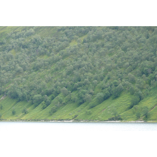 照片 英国(United Kingdom) 韦斯特罗斯(Wester Ross) 2011-07 51