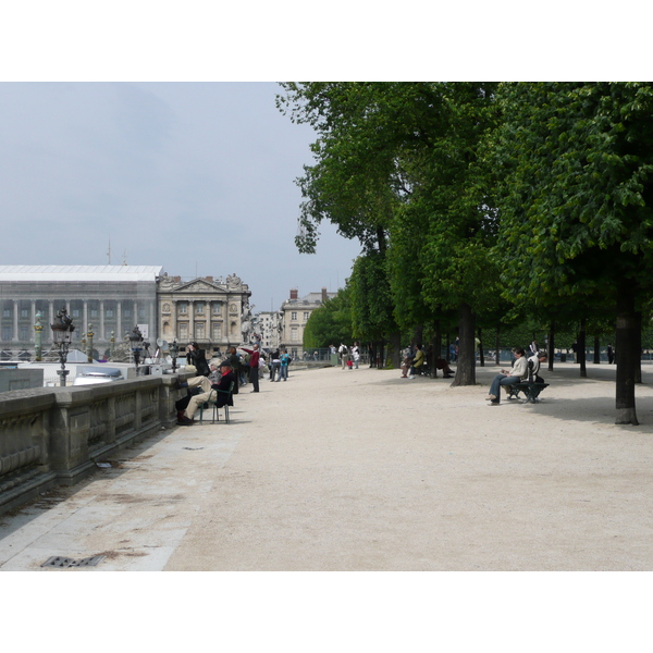照片 法国(France) 巴黎(Paris) 杜乐丽花园(Garden of Tuileries) 2007-05 263