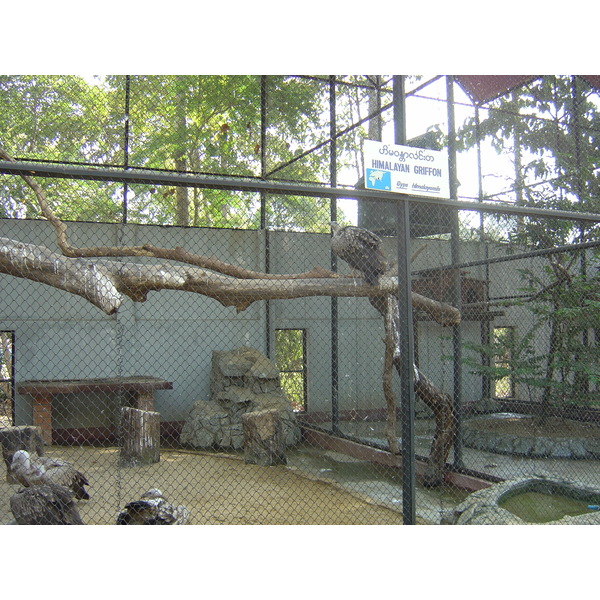 照片 缅甸(Myanmar) 仰光(Yangon) 2005-01 113