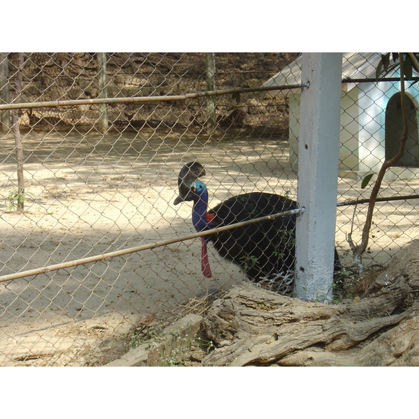 照片 缅甸(Myanmar) 仰光(Yangon) 2005-01 106