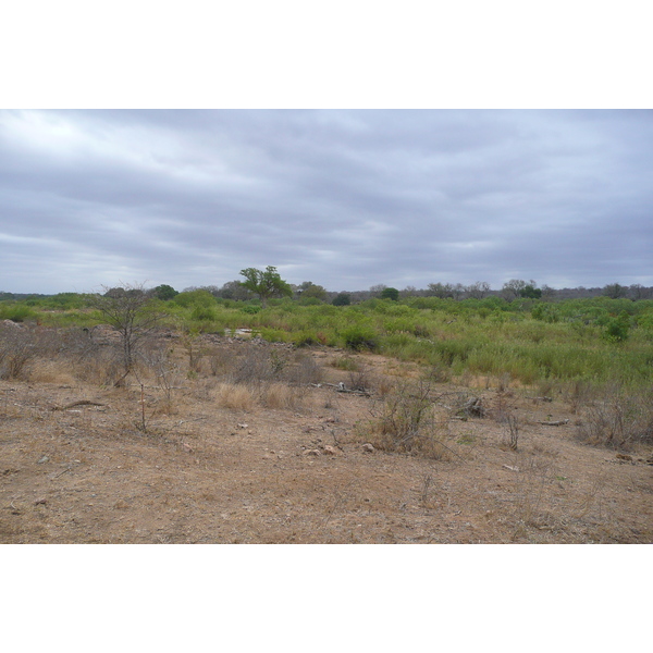 照片 南非(South Africa) 克鲁格国家公园(Kruger National Park) 萨布尔河(Sable River) 2008-09 75
