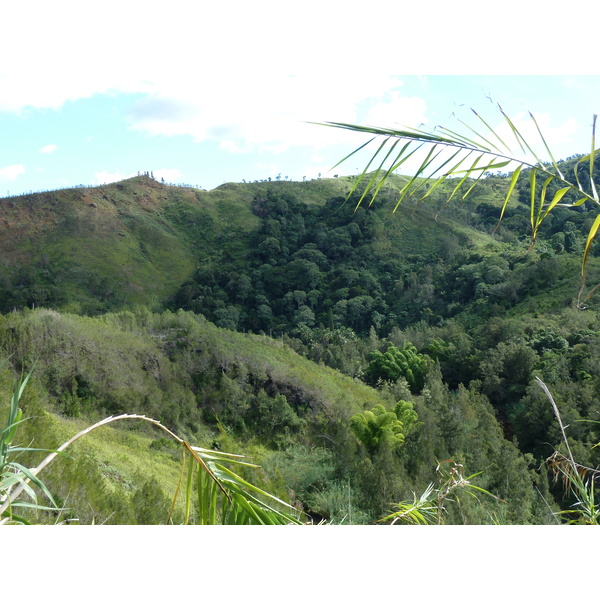 照片 新喀里多尼亚(New Caledonia) 通图塔至蒂奥公路(Tontouta to Thio road) 2010-05 112