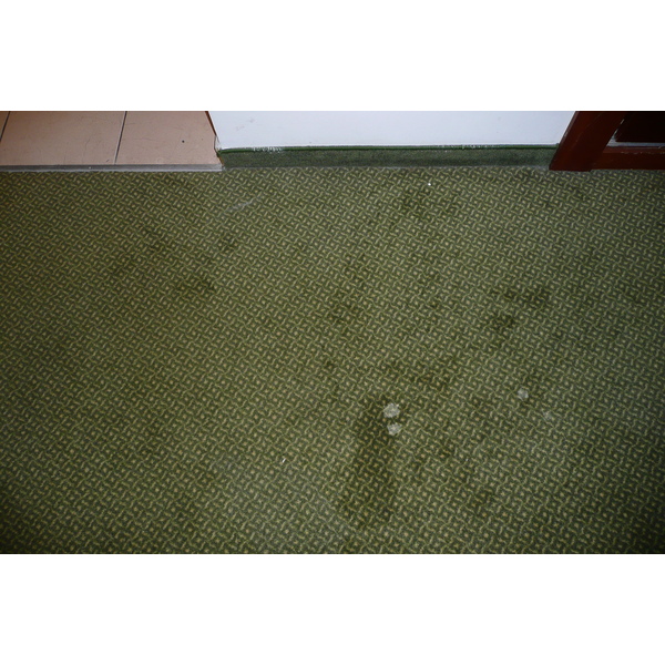 照片 以色列(Israel) 海法(Haifa) 艾美酒店(Meridien Hotel) 2007-12 18