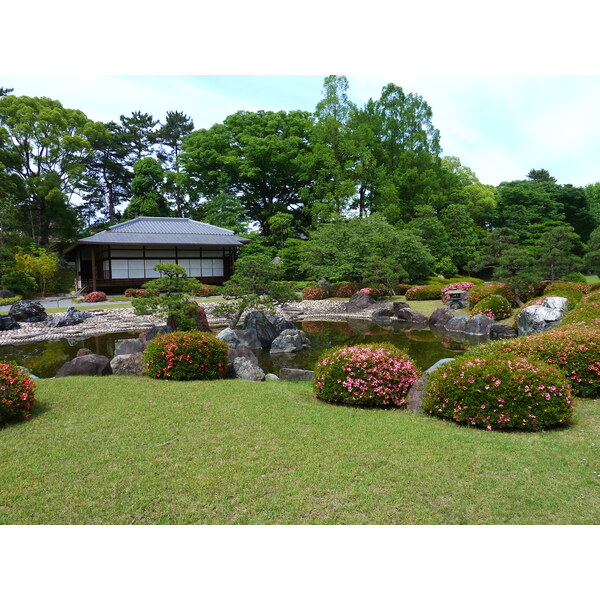 照片 日本(Japan) 京都(Kyoto) 二条城(Nijo Castle) 2010-06 24