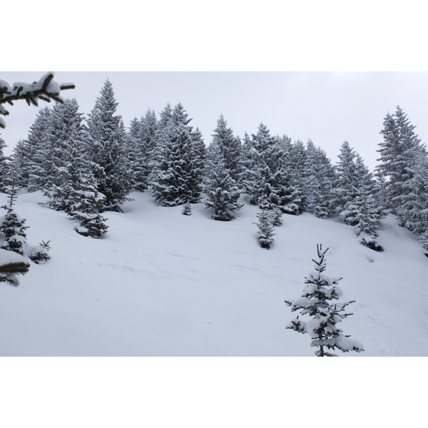 照片 法国(France) 三峡谷滑雪场(Les 3 Vallees) 2013-03 277