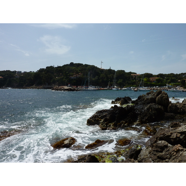 照片 法国(France) 吉安半岛(Giens Peninsula) 2009-05 9
