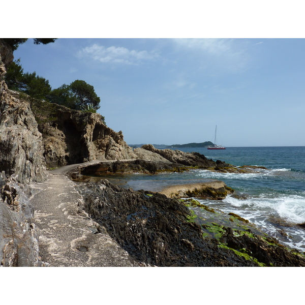 照片 法国(France) 吉安半岛(Giens Peninsula) 2009-05 14