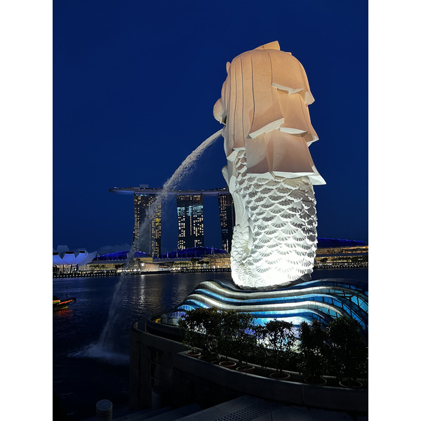 照片 新加坡(Singapore) 滨海湾(Marina Bay) 2023-01 41