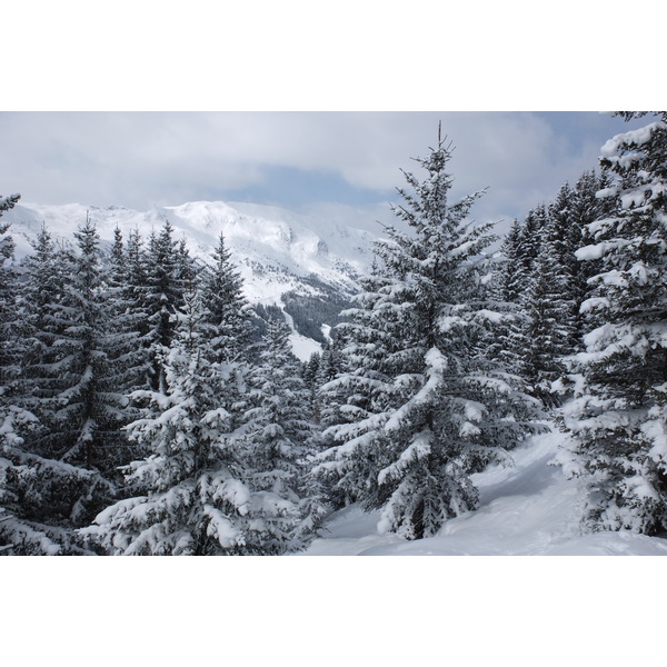 照片 法国(France) 三峡谷滑雪场(Les 3 Vallees) 2013-03 284