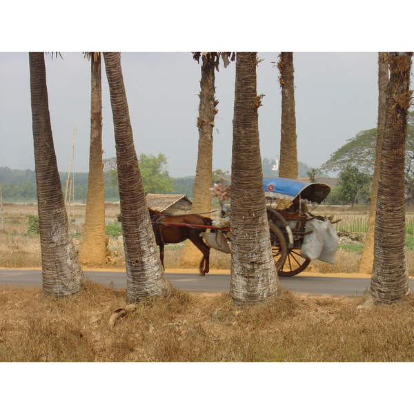 照片 缅甸(Myanmar) 土瓦至茂马干海滩公路(Road from Dawei to Maungmagan beach) 2005-01 19