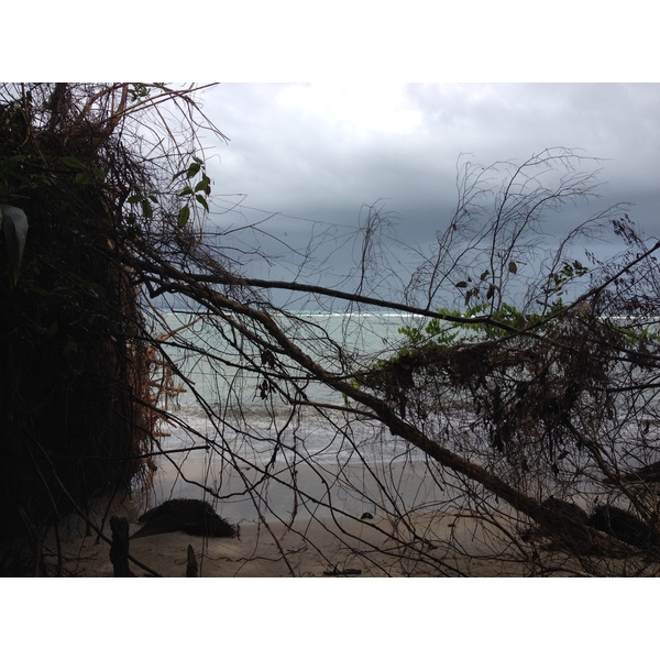 照片 哥斯达黎加(Costa Rica) 卡维塔(Cahuita) 2015-03 44