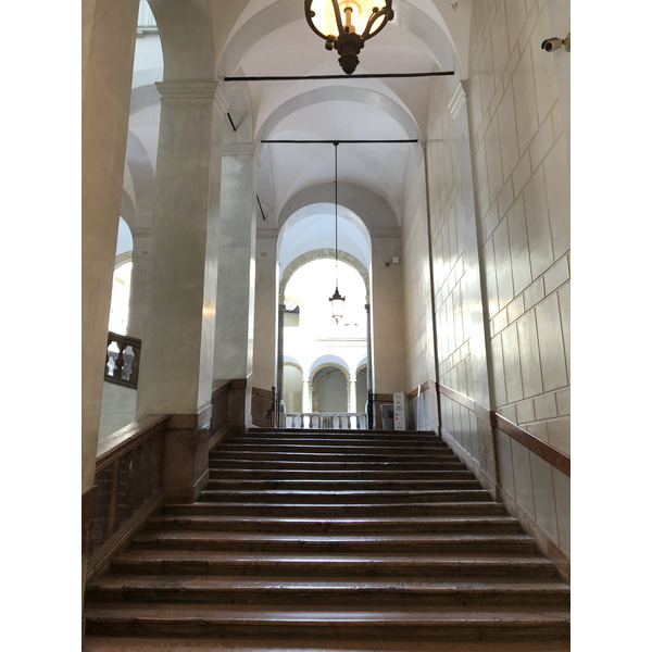 照片 意大利(Italy) 西西里岛(Sicily) 巴勒莫(Palermo) 诺曼王宫(Palazzo dei Normanni) 2020-02 184