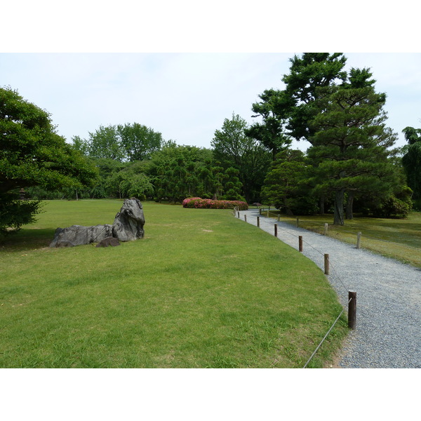 照片 日本(Japan) 京都(Kyoto) 二条城(Nijo Castle) 2010-06 111