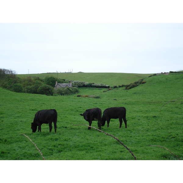 照片 英国(United Kingdom) 彭布罗克郡(Pembrokeshire) 戴尔(Dale) 2006-05 8