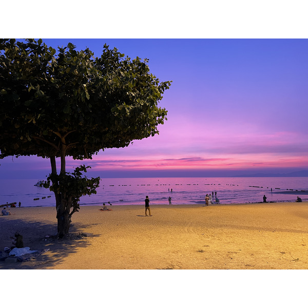 照片 泰国(Thailand) 芭提雅(Pattaya) 2023-01 30