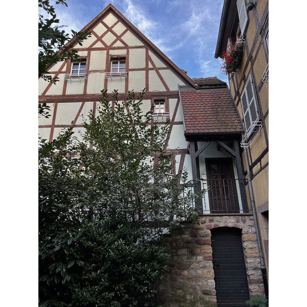 照片 法国(France) 科尔马(Colmar) 2023-10 80