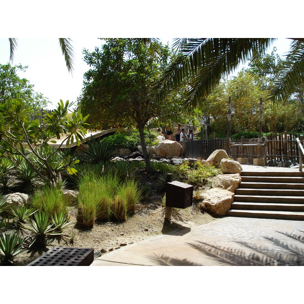 照片 阿联酋(United Arab Emirates) 迪拜(Dubai) 狂野干河水上乐园(Wild Wadi) 2007-03 112