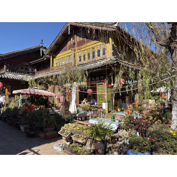 照片 中国(China) 丽江(Lijiang) 2026-01 589