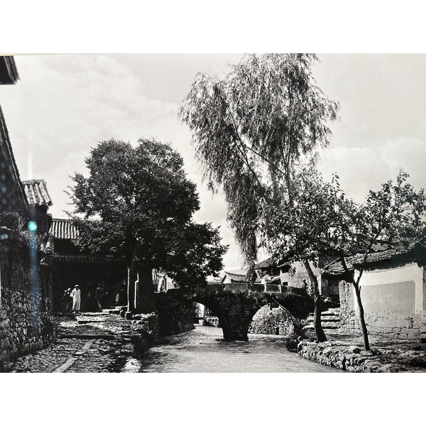照片 中国(China) 丽江(Lijiang) 2026-01 347