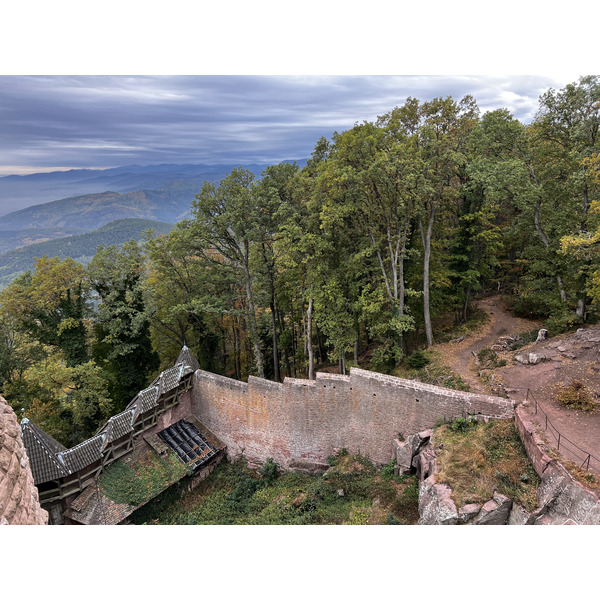照片 法国(France) 上国王堡(Koenigsbourg Castle) 2023-10 12