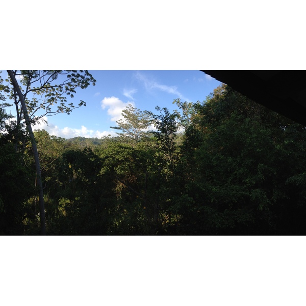 照片 哥斯达黎加(Costa Rica) 乌维塔(Uvita) 2015-03 59
