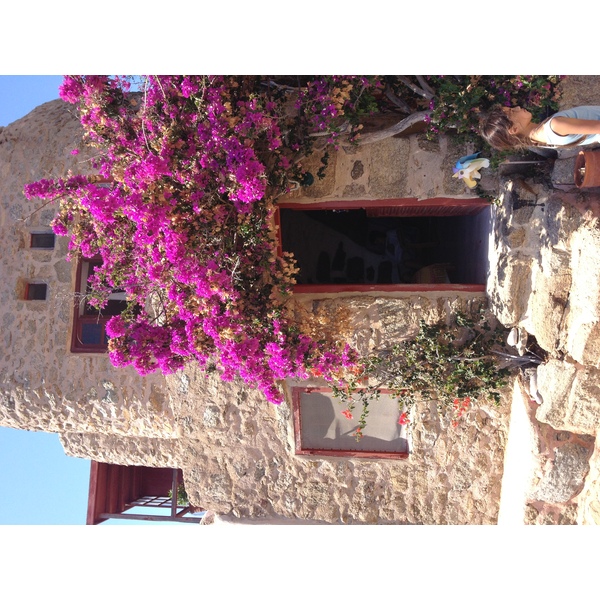 照片 希腊(Greece) 米科诺斯岛(Mykonos) 2014-07 63