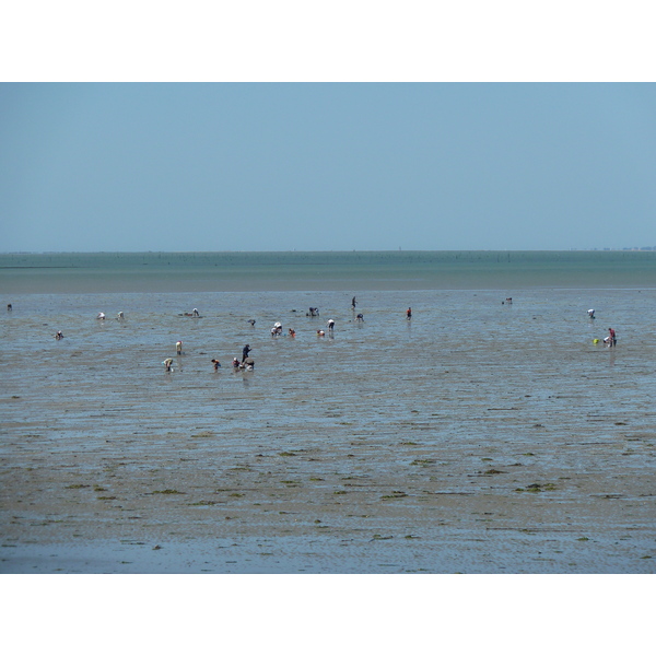 照片 法国(France) 努瓦尔穆捷(Noirmoutier) 2010-07 32