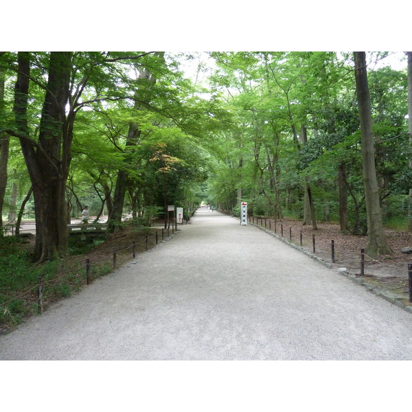 照片 日本(Japan) 京都(Kyoto) 下鸭神社(Kamomioya Shrine(Shimogamo Shrine)) 2010-06 31