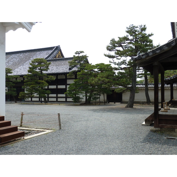 照片 日本(Japan) 京都(Kyoto) 二条城(Nijo Castle) 2010-06 14