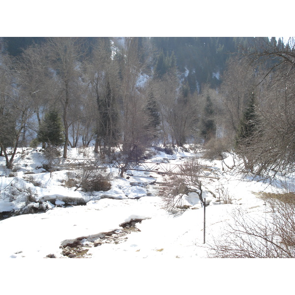 照片 哈萨克斯坦(Kazakhstan) 伊犁阿拉套国家公园(Ile Alatau National Park) 2007-03 47