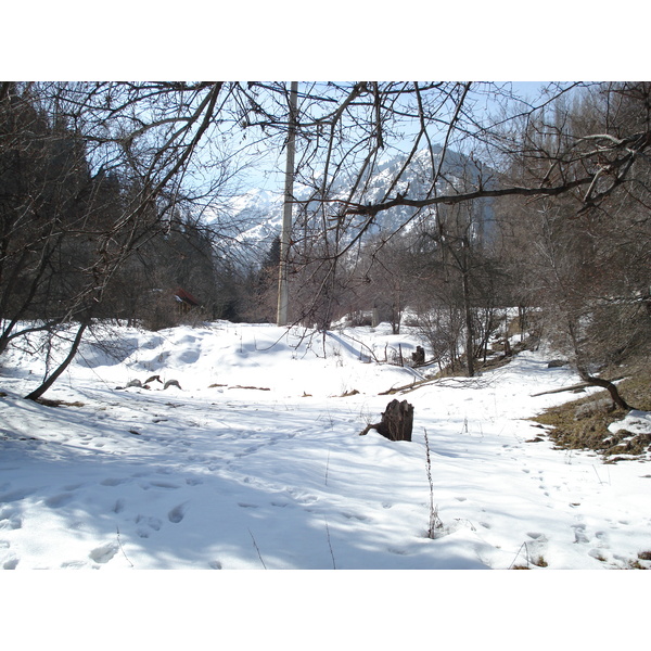 照片 哈萨克斯坦(Kazakhstan) 伊犁阿拉套国家公园(Ile Alatau National Park) 2007-03 35