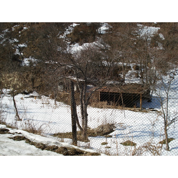 照片 哈萨克斯坦(Kazakhstan) 伊犁阿拉套国家公园(Ile Alatau National Park) 2007-03 93