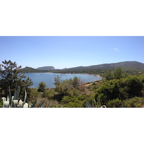 照片 意大利(Italy) 撒丁岛(Sardinia) 孔特港地区自然公园(Porto Conte Regional Natural Park) 2015-06 25