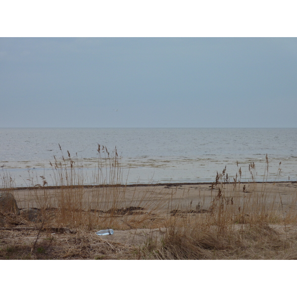 照片 拉脱维亚(Latvia) 2009-04 14