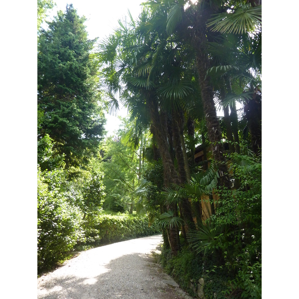 照片 意大利(Italy) 帕拉维奇诺别墅(Villa Pallavicino) 2009-06 117
