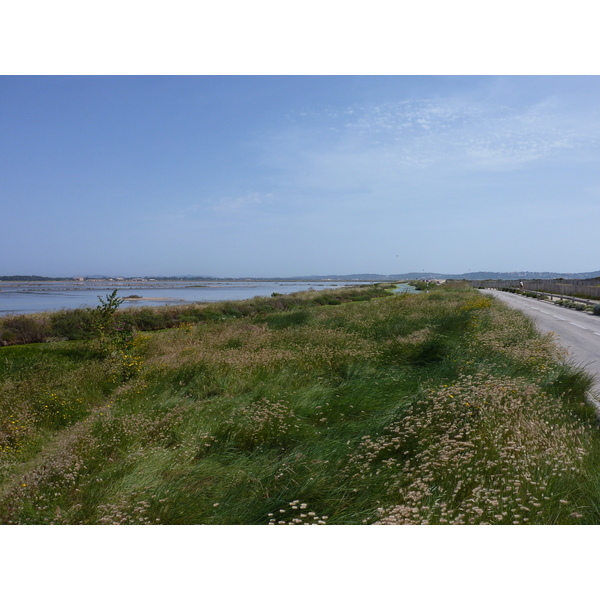 照片 法国(France) 吉安半岛(Giens Peninsula) 2009-05 15
