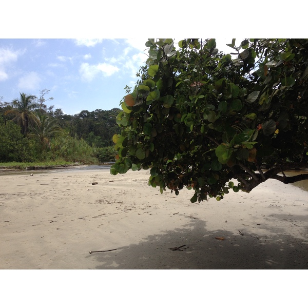 照片 哥斯达黎加(Costa Rica) 卡维塔(Cahuita) 2015-03 139