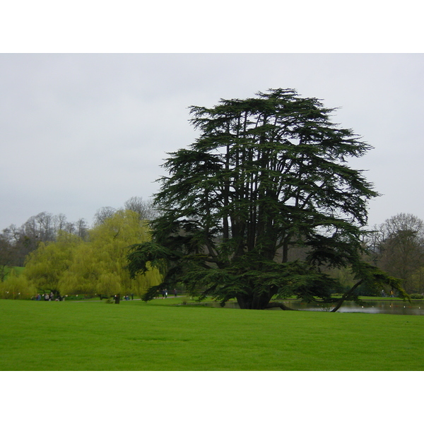 照片 英国(United Kingdom) 利兹城堡(Leeds castle) 2001-04 14