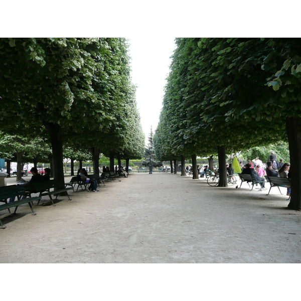 照片 法国(France) 巴黎(Paris) 巴黎圣母院(Notre Dame) 2007-05 100